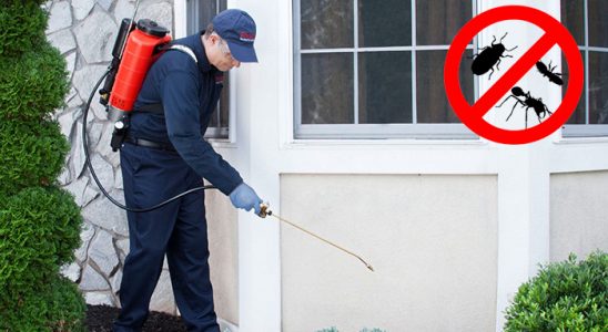 Küçükçekmece Fare İlaçlama böcek ilaçlama ve haşere kontrolü — ilaclama-tr.com
